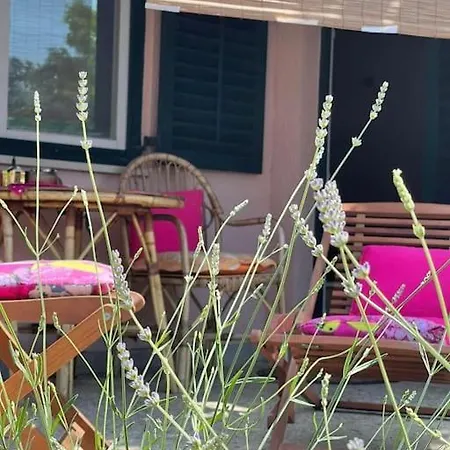 Ferienhaus House Antea Sage *